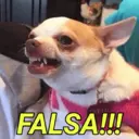 Límmiði