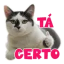 Stiker