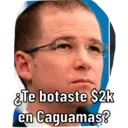 Samolepka