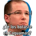 Samolepka