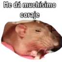 Samolepka