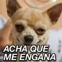 Figurinha