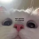 استیکر