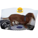 ステッカー