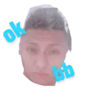 Çıkartma