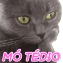 Figurinha