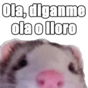 สติกเกอร์
