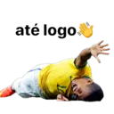 Samolepka