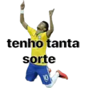Samolepka