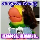 Figurinha