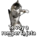 Límmiði
