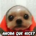 Figurinha