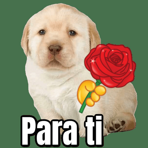 Perritos Stickers para WhatsApp
