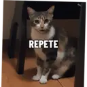 Ngjitës