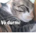 Ngjitës