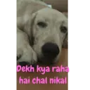 استیکر