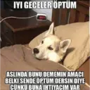 Կպչուն պիտակ