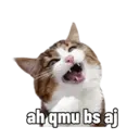 Autocollant