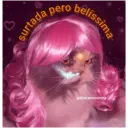 Samolepka