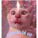 Samolepka