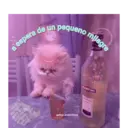 Samolepka
