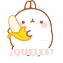 Stiker