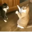 ステッカー
