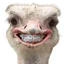 Stika
