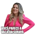 Figurinha