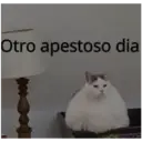 מדבקה