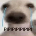 מדבקה