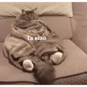 מדבקה