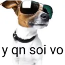 מדבקה