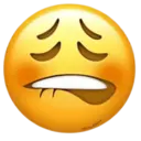 Límmiði