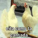Samolepka