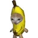 Stika