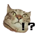 Stika