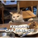 Çıkartma