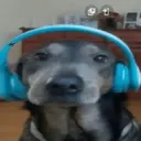 מדבקה
