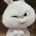 스티커
