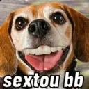 Stika