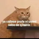 Stika