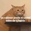 Stika