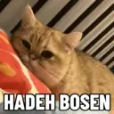 Çıkartma