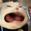ملصق