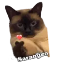 Stiker