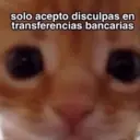 Nhãn dán
