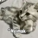 Naljepnica