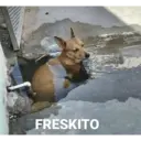 Стикер