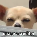 贴纸